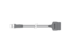 RAYMARINE Cable SeaTalk ng vers SeaTalk