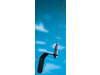 JAYBEAM MA215L02 - Antenne 3db voilier