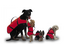 PLASTIMO Gilets pour chiens