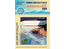SHOM Carte d'examen 9999L