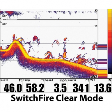 humminbird_2d.jpg