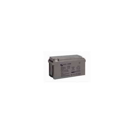 VICTRON Batterie AGM 12V - 110Ah