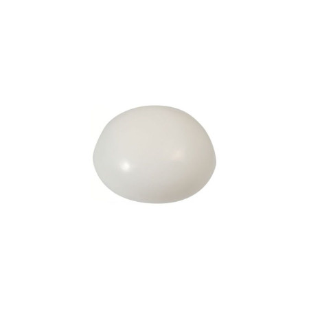 MARINOX Cache blanc pour vis TF 4 et 5 les 5