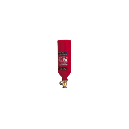 ANAF Extincteur automatique 2 kg poudre abc