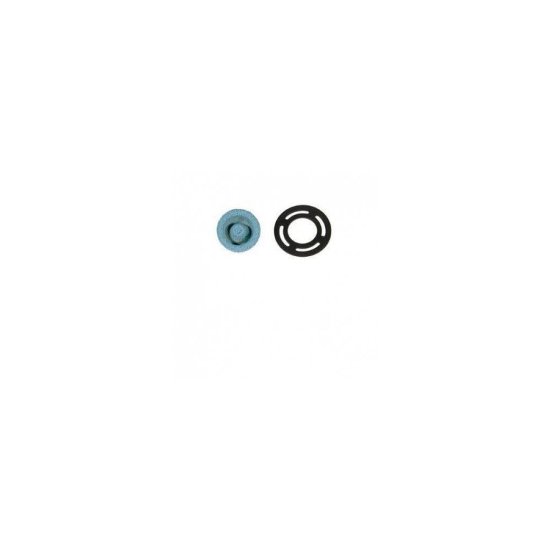 SIERRA FILTRE ESSENCE POUR MOTEUR OMC