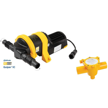 WHALE Gulper IC + collecteur 2 voies 24 V