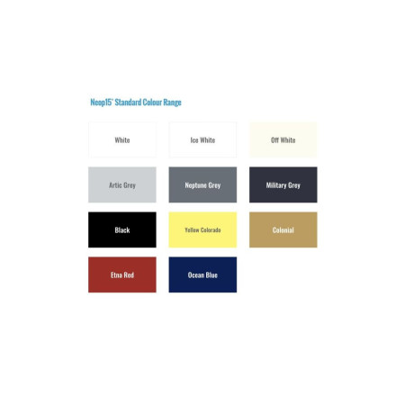 Neop 15 Aérosol bi-composant 250 ml noir