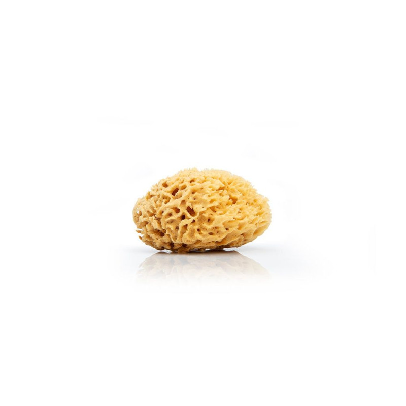 DOCKSOAP Eponge de mer naturelle