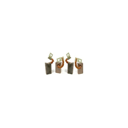 LOFRANS Charbons pour moteur 12V Cayman 1000W (les 4)