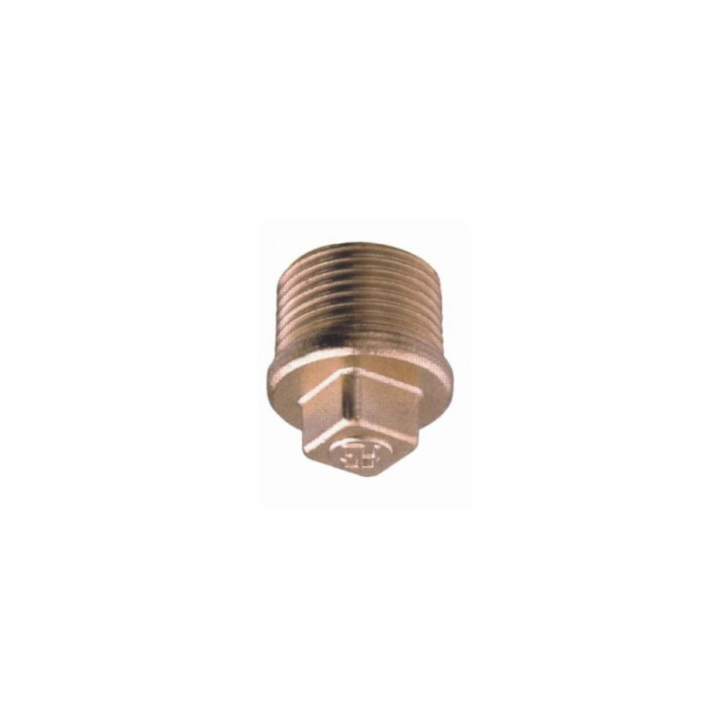 GUIDI Bouchon mâle 3/4" VRAC