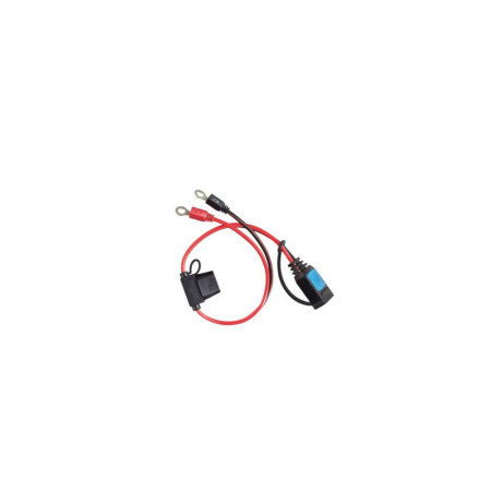 VICTRON Connecteur à oeillet M8 pour chargeur Blue Smart