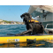 DOGUP Echelle gonflable pour chien