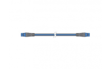 RAYMARINE - cable dorsale Seatalk NG 0.4m (bleu)