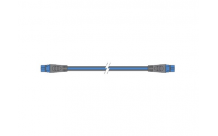RAYMARINE - cable dorsale Seatalk NG 1m (bleu)
