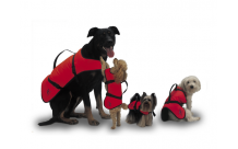 PLASTIMO - Gilet pour chien - S