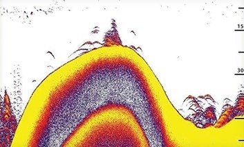 humminbird_2d.jpg humminbird_2d.jpg